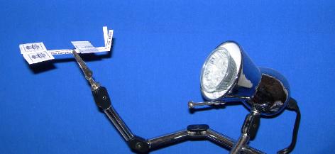 Click here for a BIGGER PICTURE!